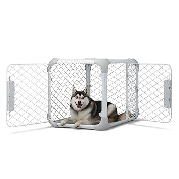 Amazon.com : DIGGS Evolv Dog Crate - Slim, Durable Dog